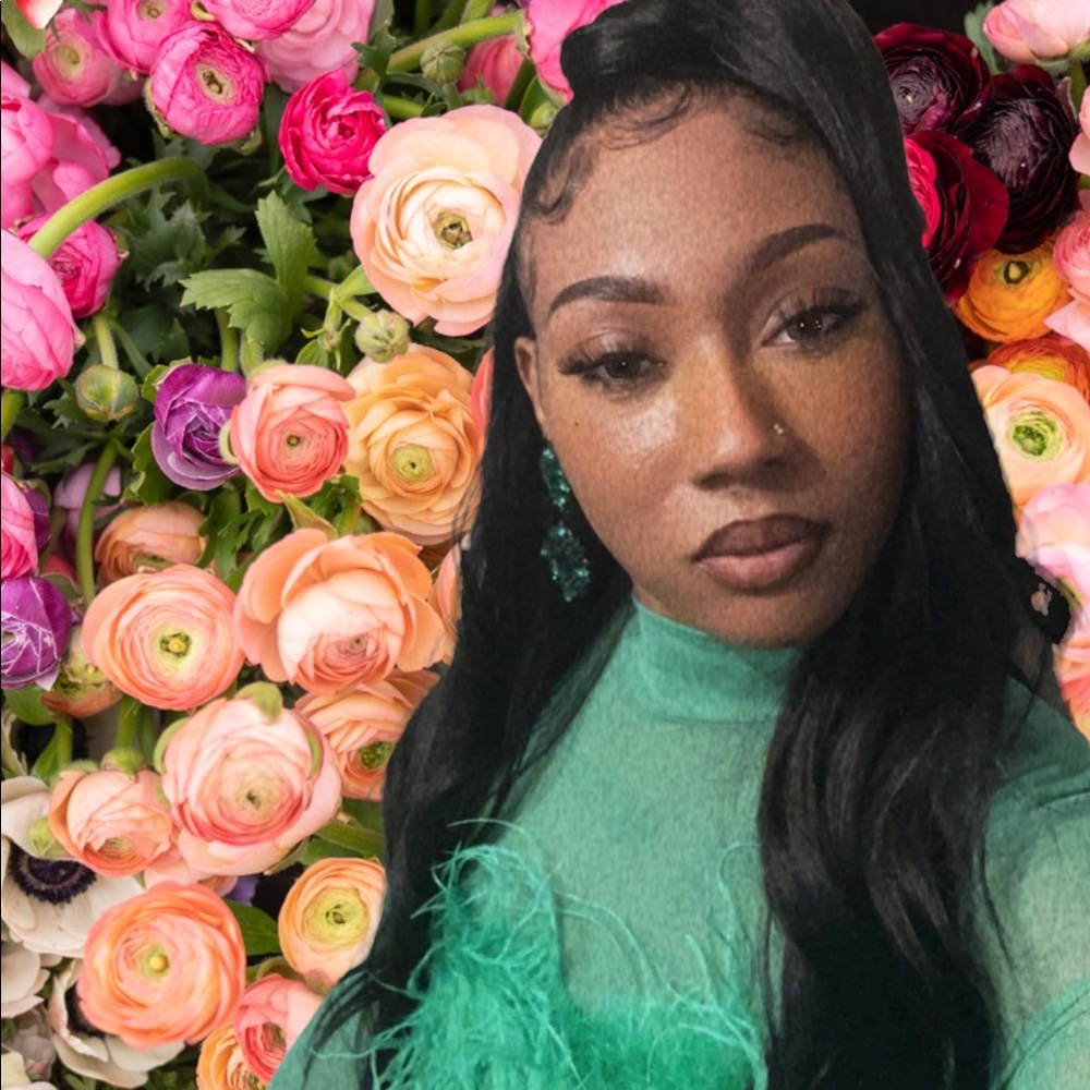 Meet your Posher, Sierra